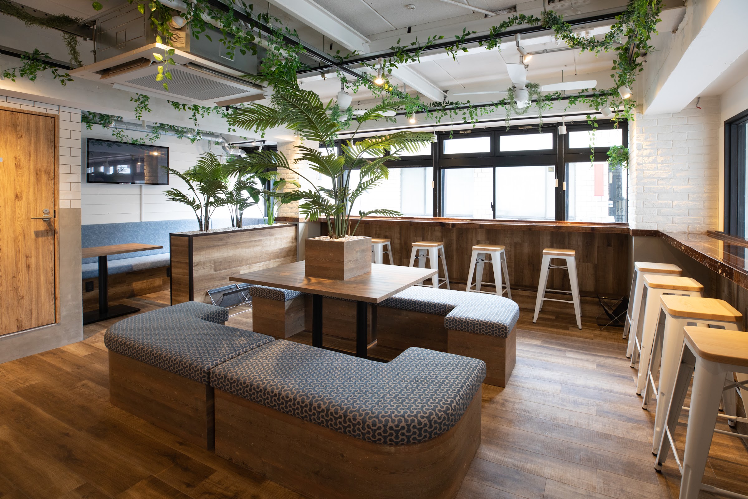 店内の木目床と観葉植物、自然光が差し込むカウンター席